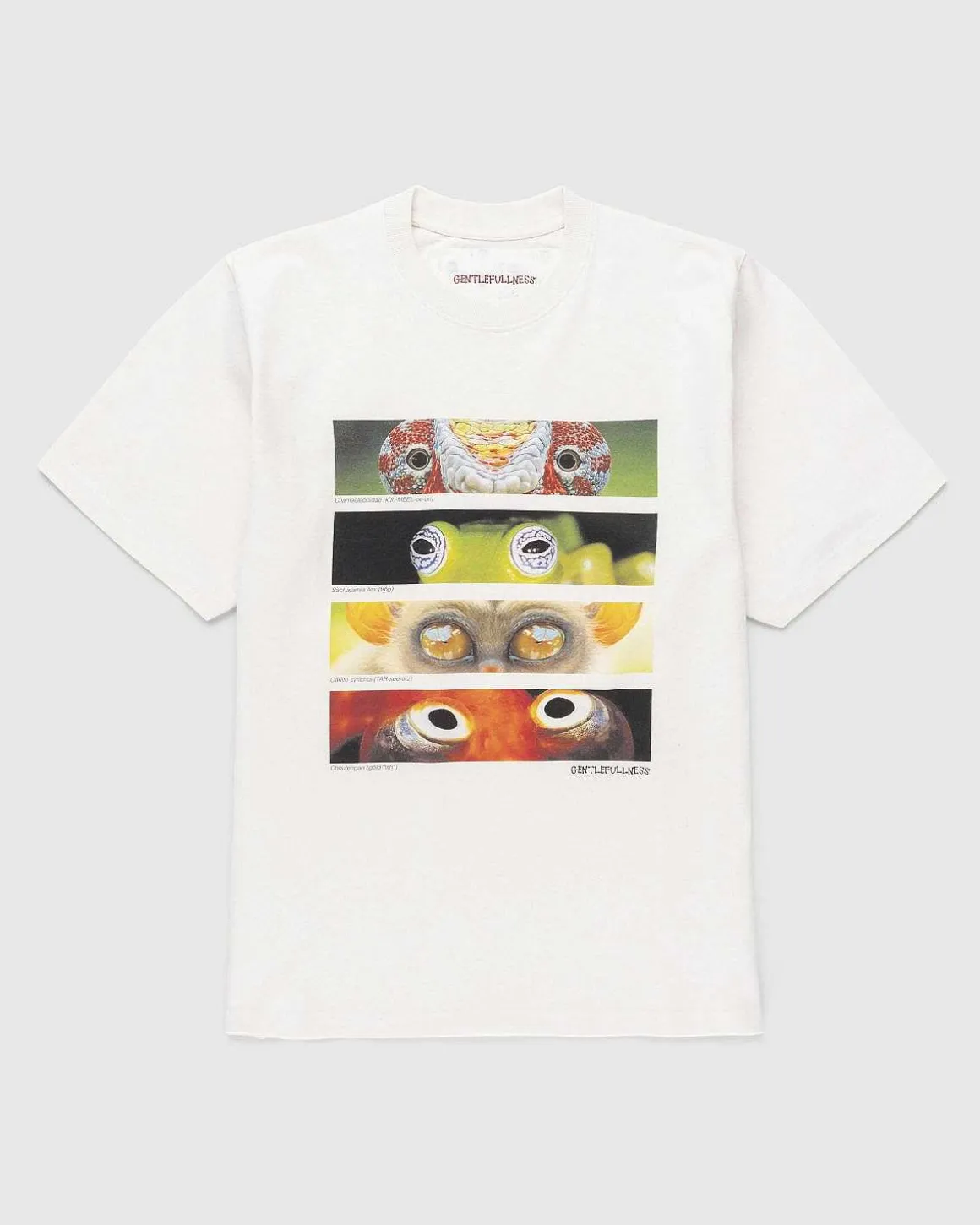Genbrugsbomuld Animal Eyes Tee Beige