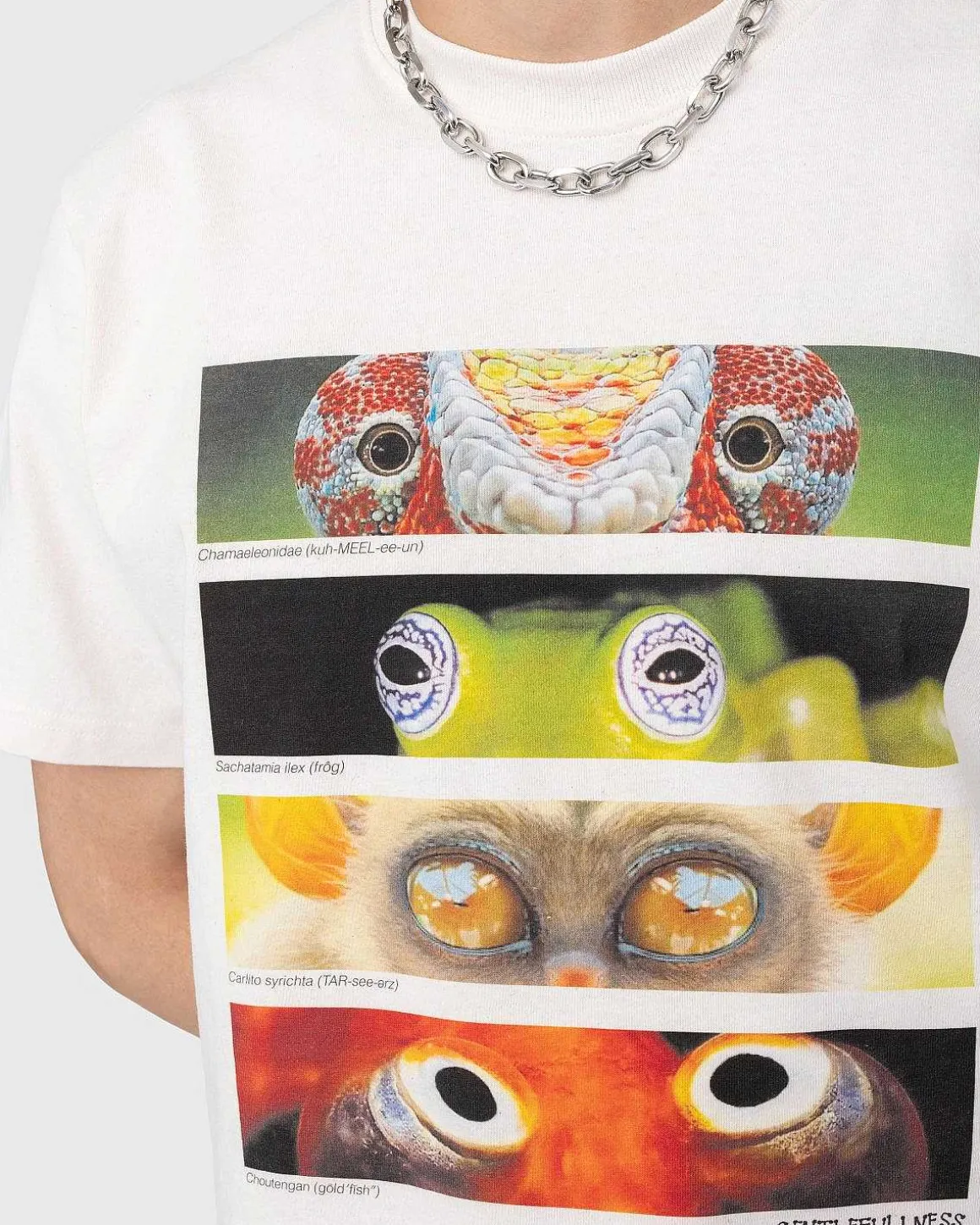 Genbrugsbomuld Animal Eyes Tee Beige