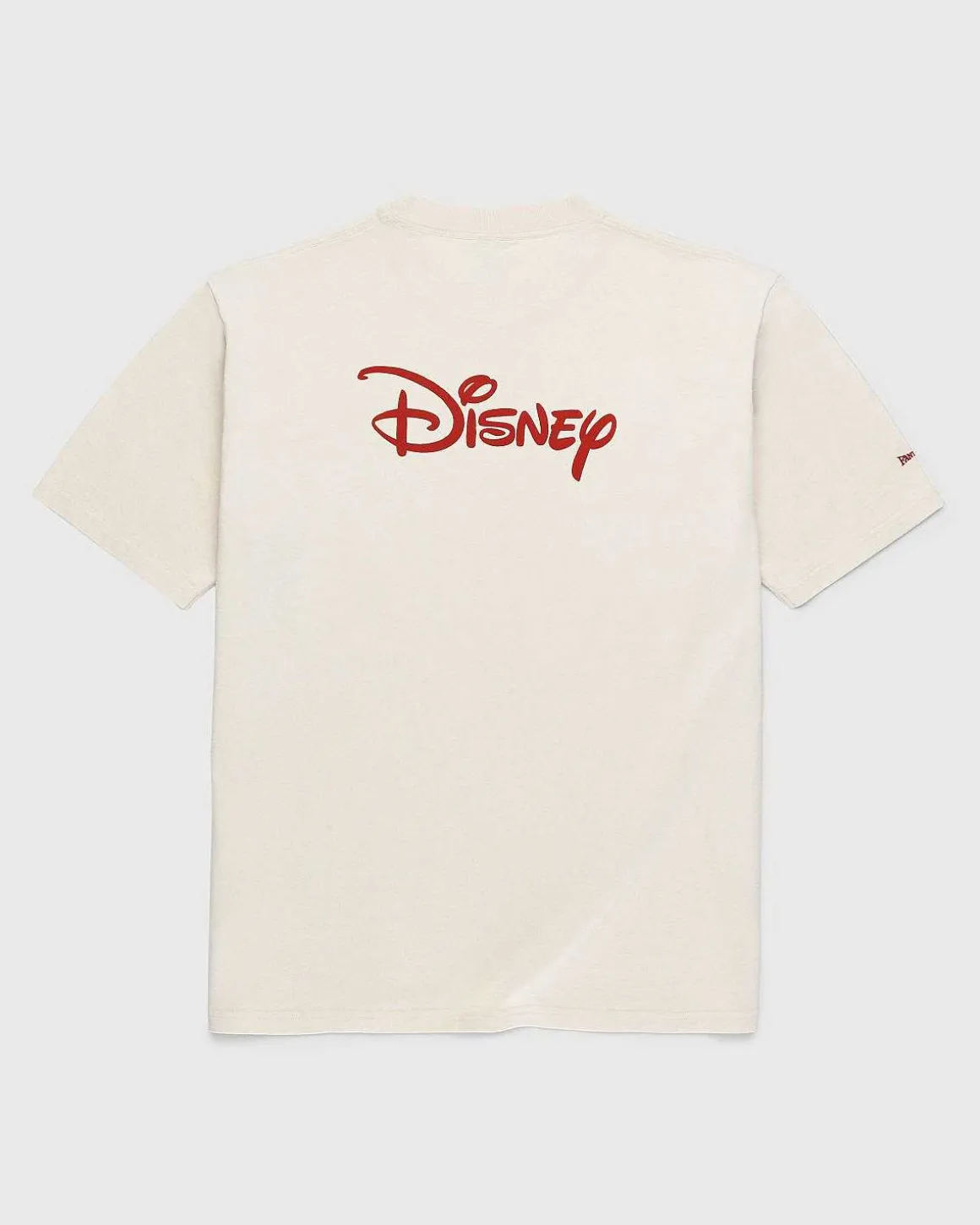 Logo T-Shirt Aeggeskal