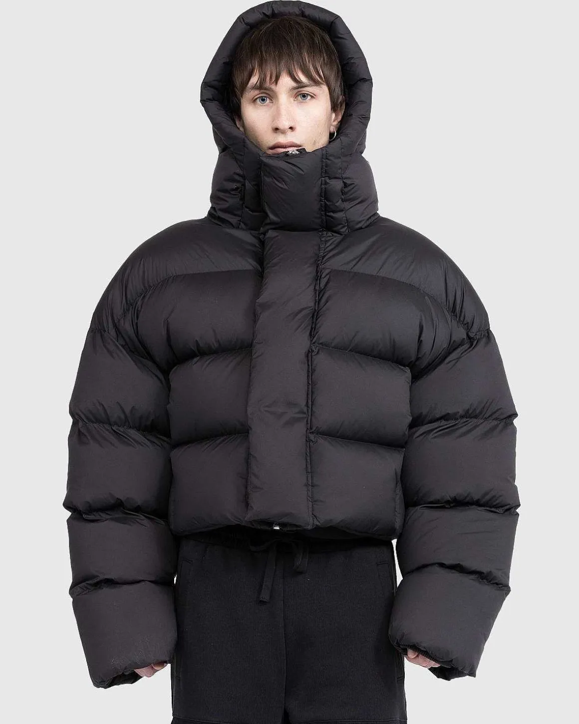 Mml Hooded Puffer Pupil