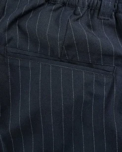 Tropical Suiting Shorts Stripes Navy